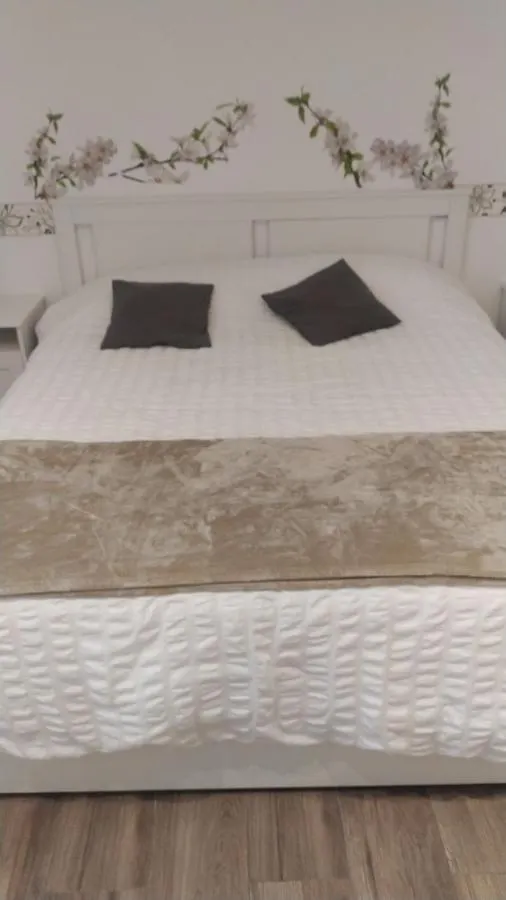 Vatican'S Apartment ローマ